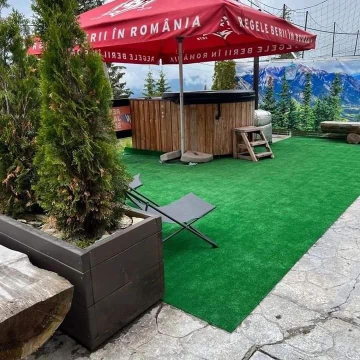Pensiunea Alpin Рынка Экстерьер фото